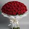 Букет 101 Красная роза Блэк Мэджик в Симе