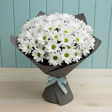 Букет цветов из:  Хризантемы #REPLACE_PRED# Симе