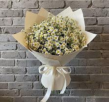 Букет цветов из:  Ромашки #REPLACE_PRED# Симе